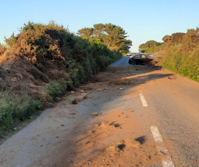 Photo of the damage to the surrounding hedges.